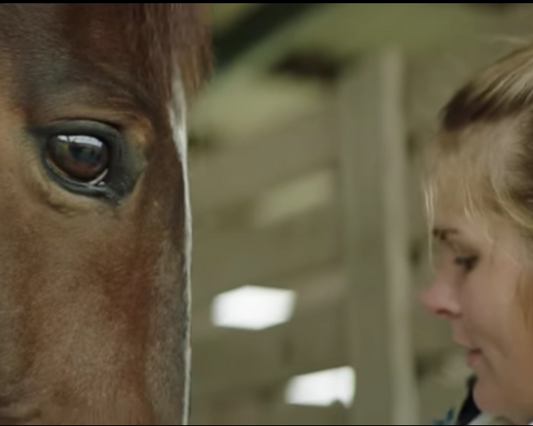 The Girl At The Barn